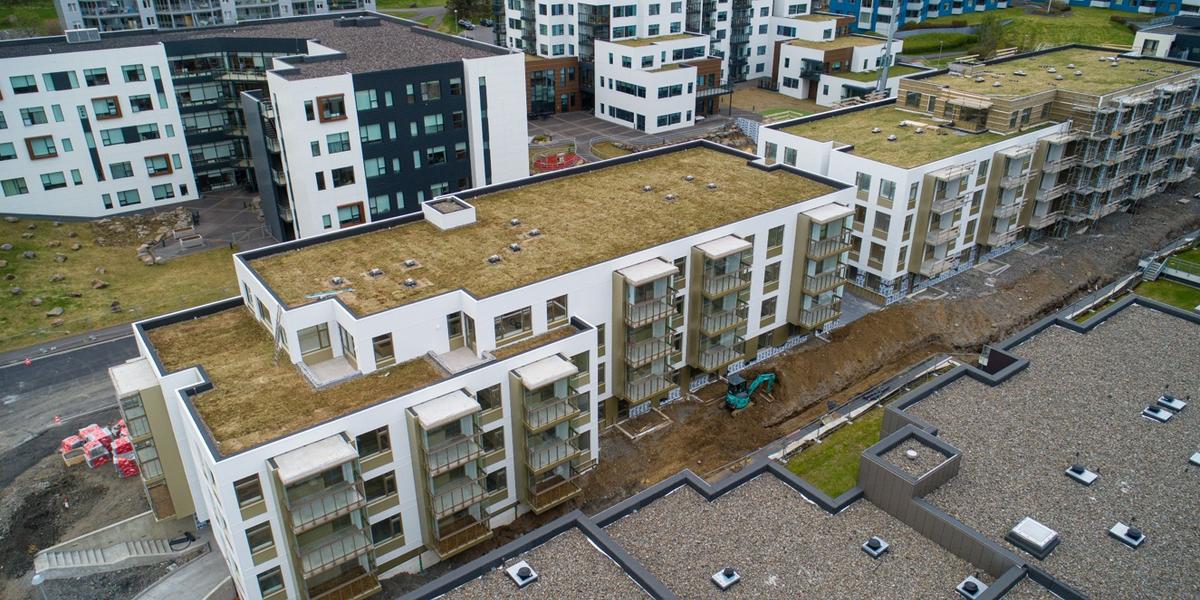 Sjómannadagsráð