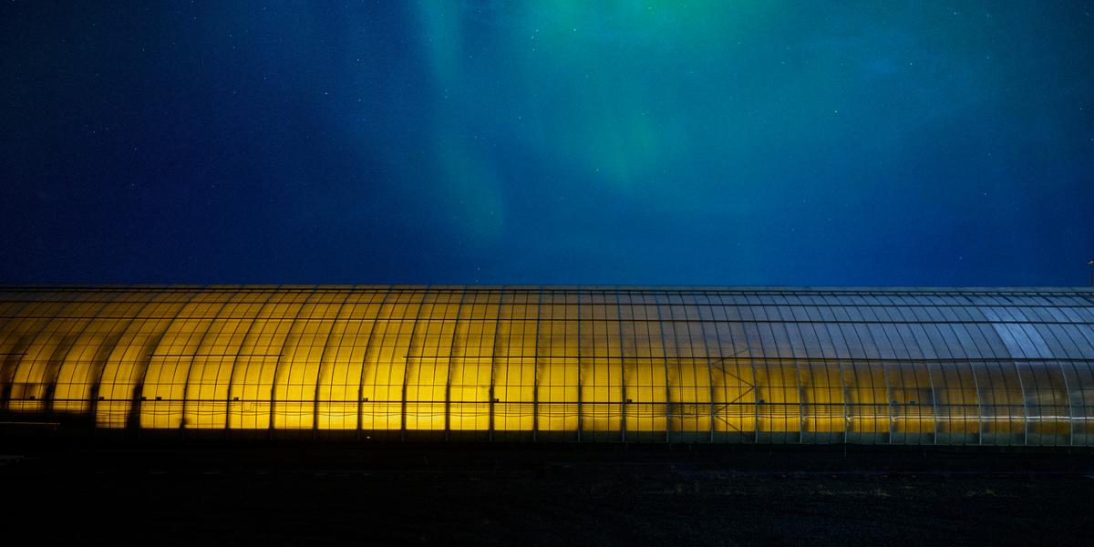 Rarik ohf.