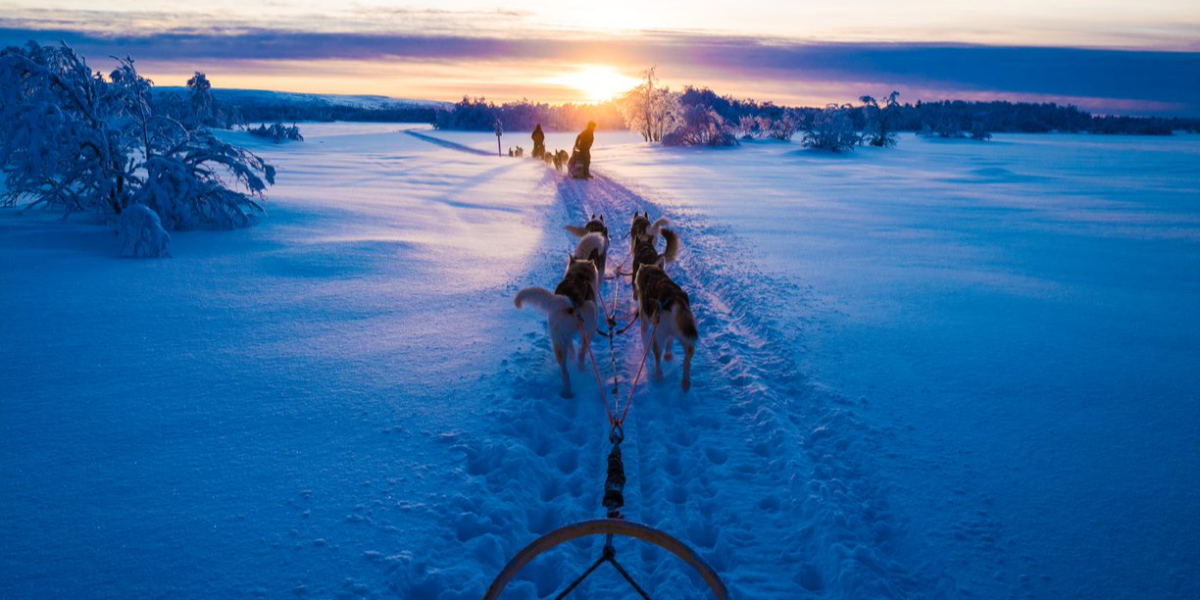 Nordic Luxury