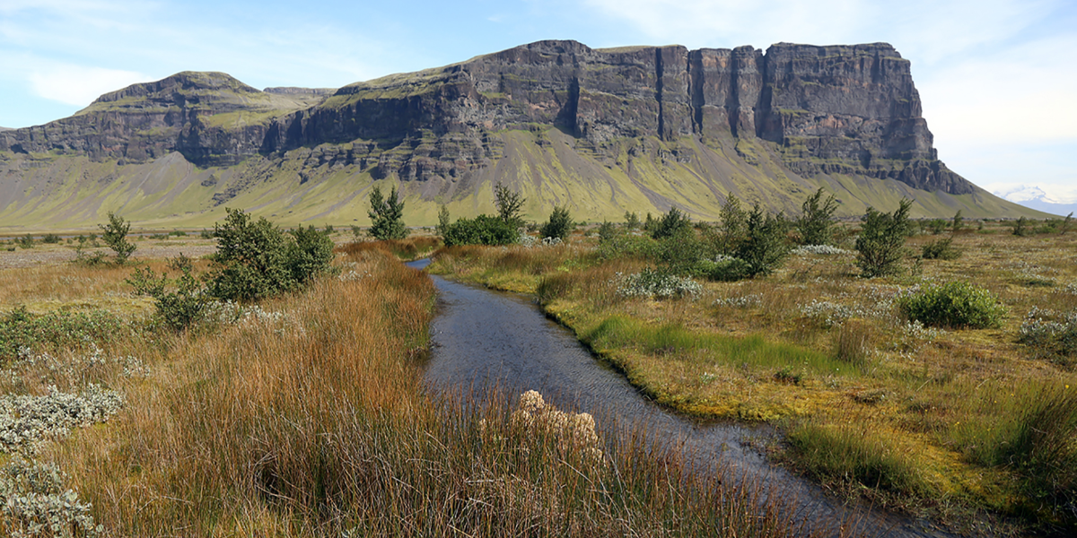 Landgræðslan