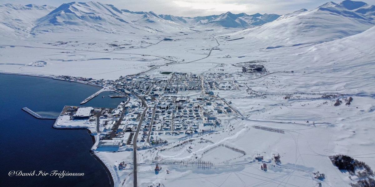 Dalvíkurbyggð
