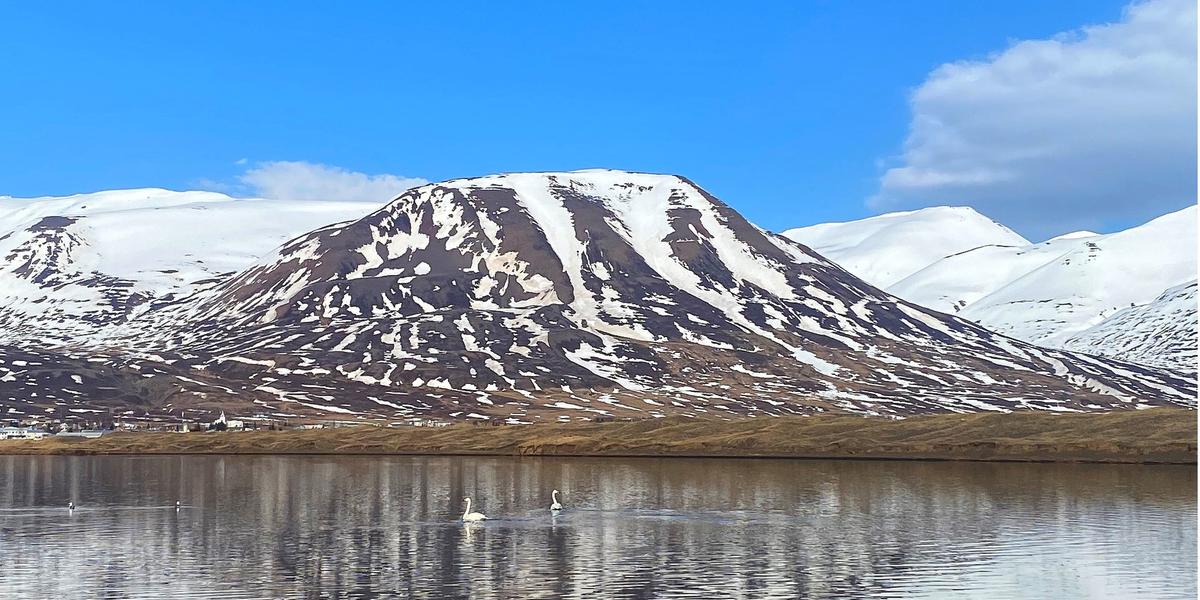 Dalvíkurbyggð