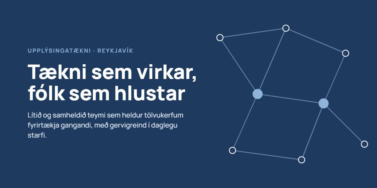 Rótgróið upplýsingatæknifyrirtæki