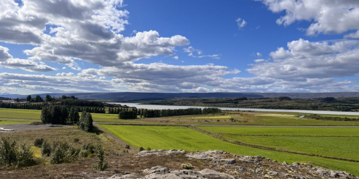 Fjölskyldusvið