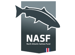 NASF á Íslandi