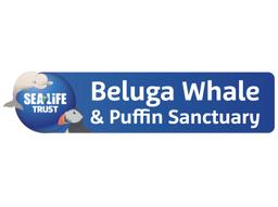 The Beluga Operating Company ehf.