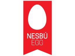 Nesbú