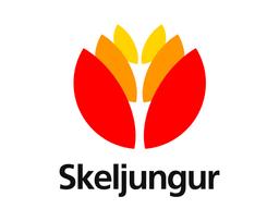 Skeljungur ehf